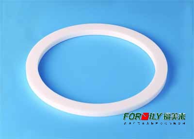 Sealing ring - Zirconia - Fluid control